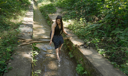 Forest-Bathing