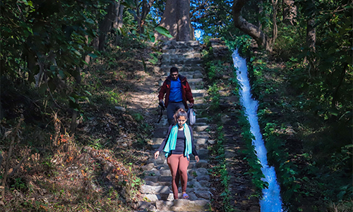 Nature-Walk-scaled