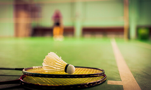 Badminton Court